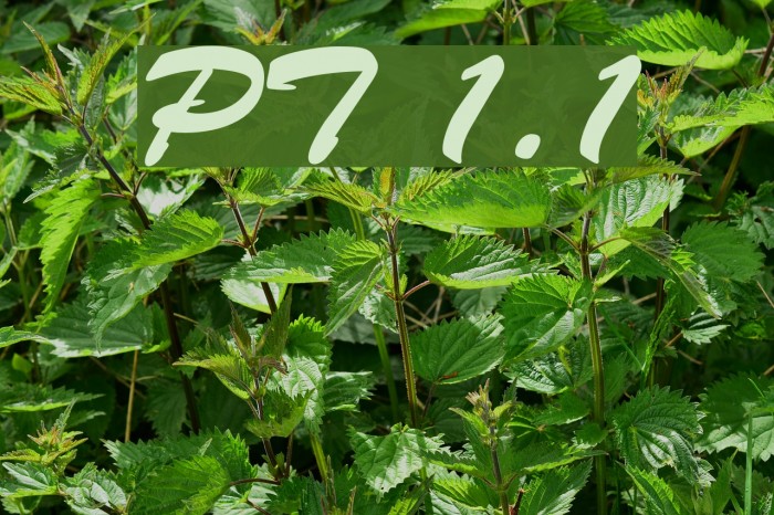 PhuongThao 1.1 Font examples