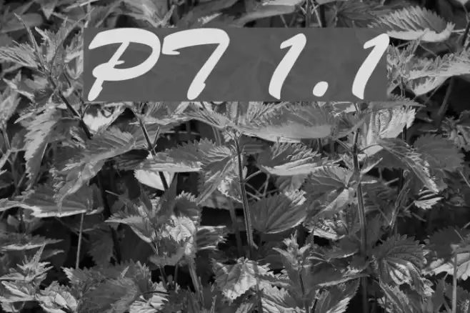 PhuongThao 1.1 Font examples