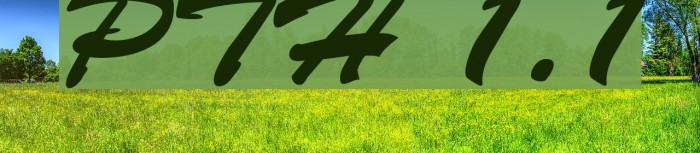 PhuongThaoH 1.1 Example 1