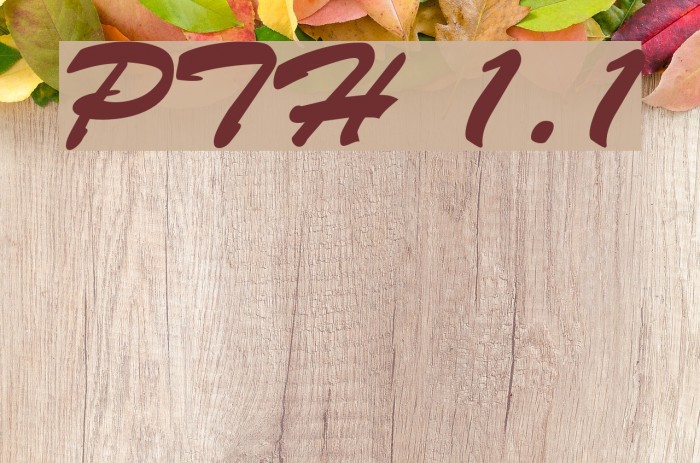 PhuongThaoH 1.1 Example 3