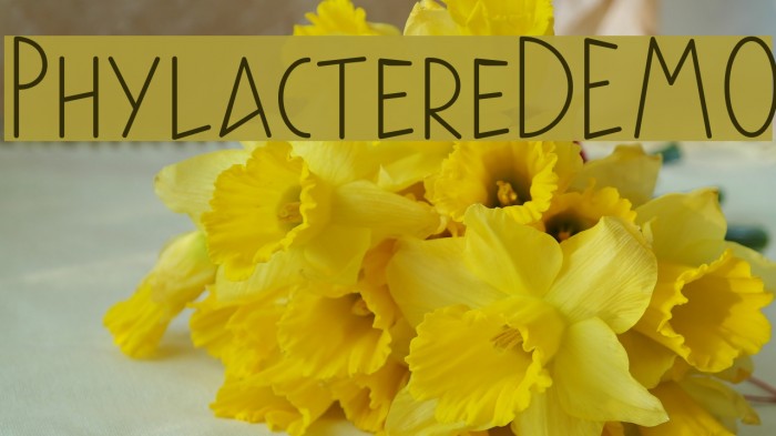 PhylactereDEMO Font examples