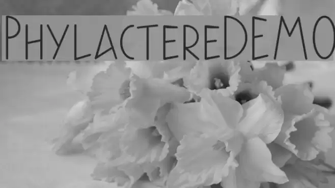 PhylactereDEMO Font examples