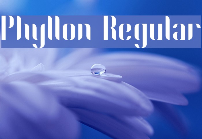 Phyllon Regular Example 1