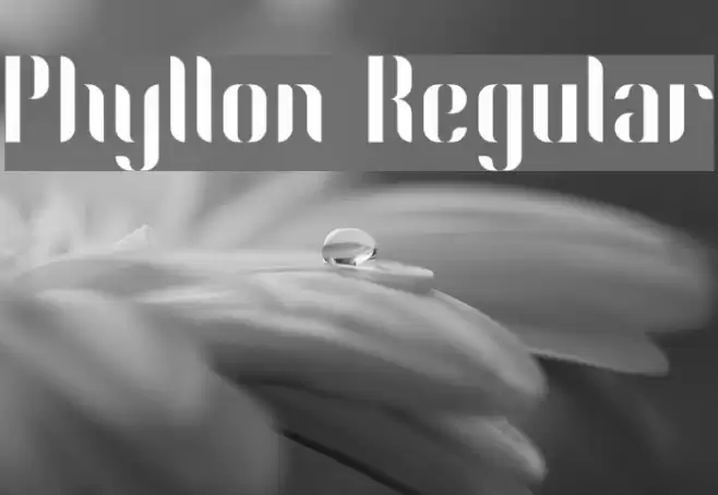Phyllon Regular Font examples