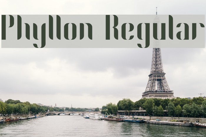 Phyllon Regular Example 2