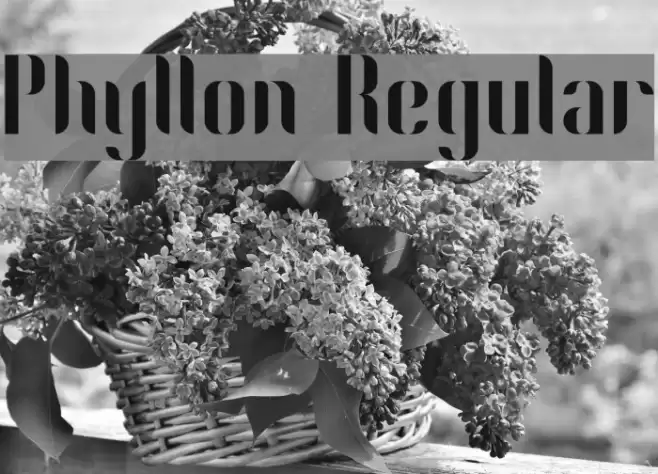 Phyllon Regular Font examples