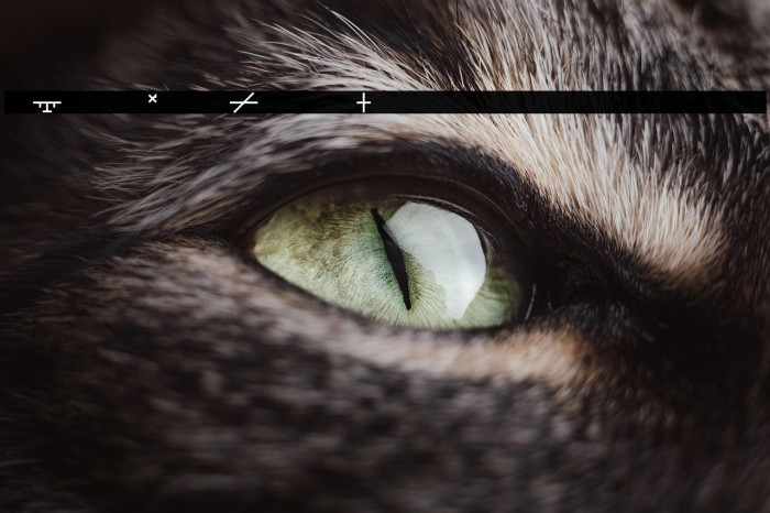 Phyrexia Neue Transliteration Example 1