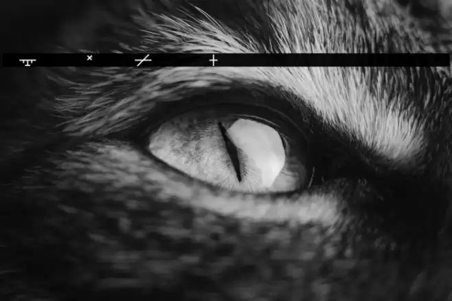 Phyrexia Neue Transliteration Font examples