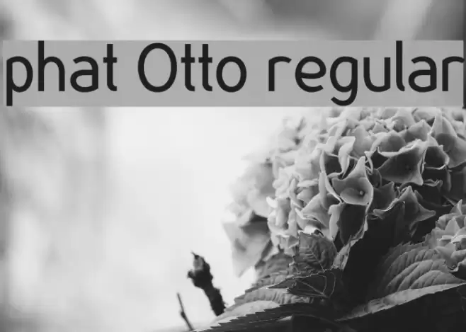 phat Otto regular Font examples