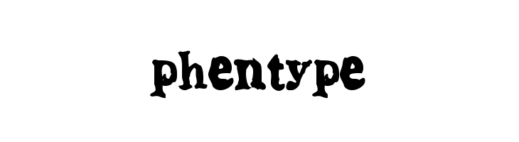 phentype Fonte