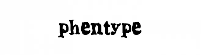 phentype  Frei Schriftart Herunterladen