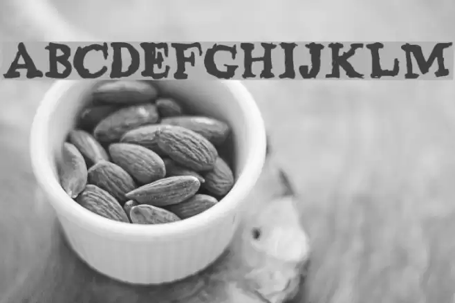 phentype Font examples