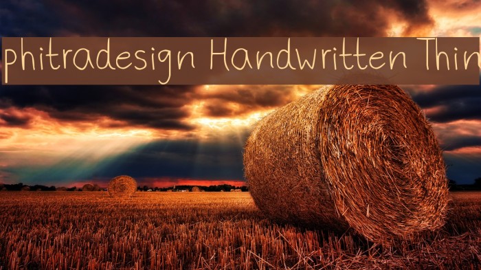 phitradesign Handwritten Thin Font examples