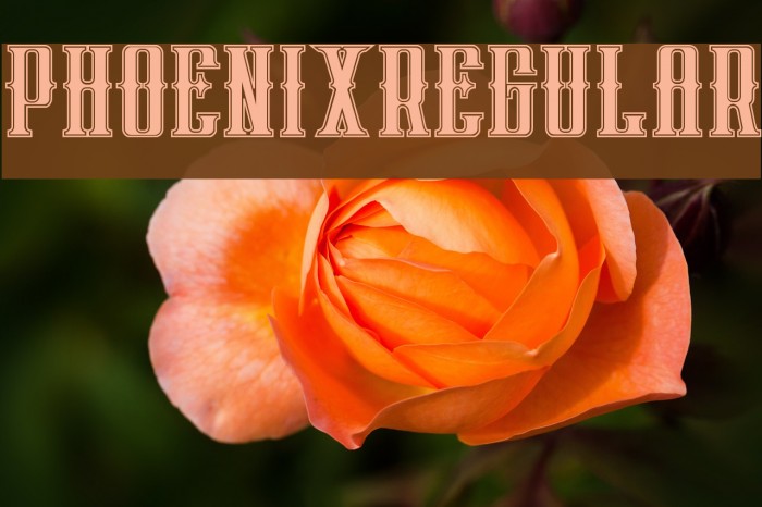 phoenixregular Example 3