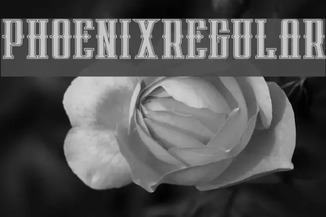 phoenixregular Font examples