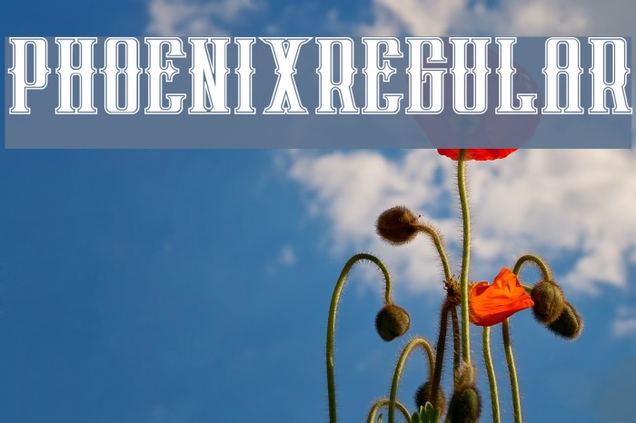 phoenixregular Font examples