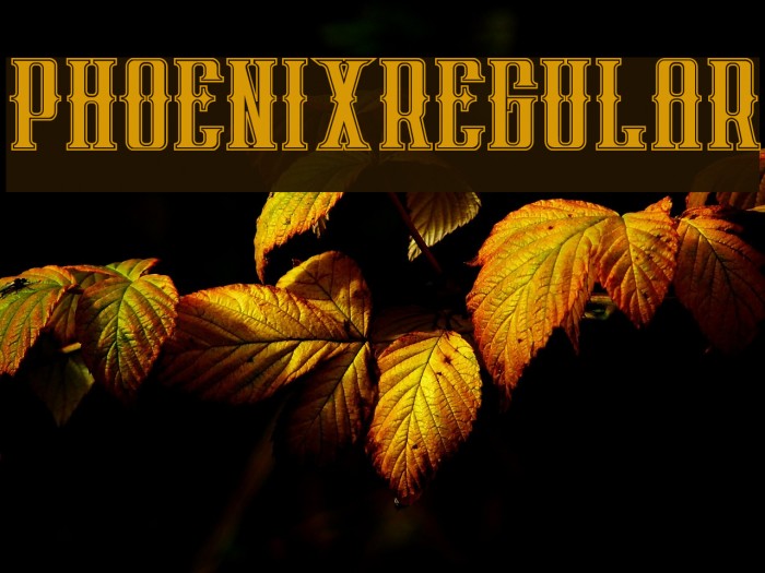 phoenixregular Font examples