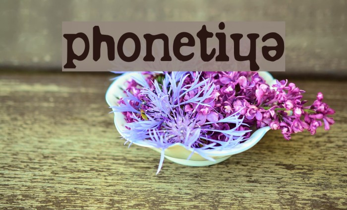 phonétique Example 2