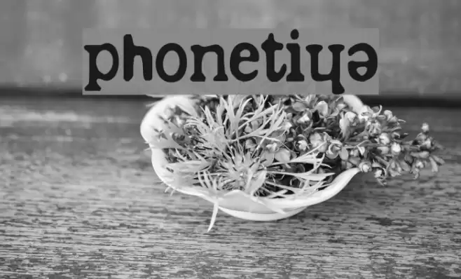 phonétique Font examples