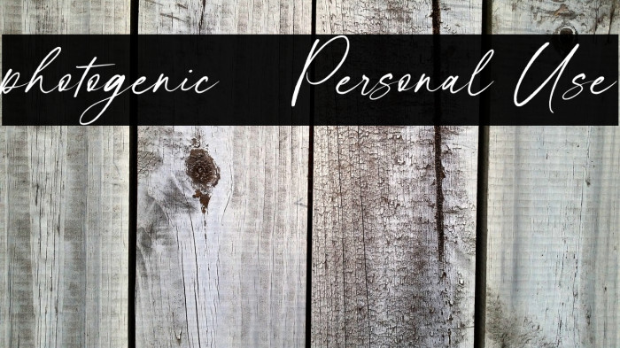 photogenic - Personal Use Example 2