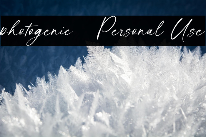 photogenic - Personal Use Example 3