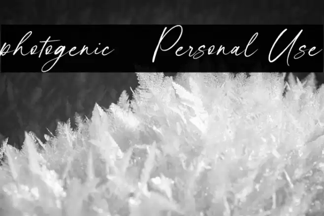 photogenic - Personal Use Font examples