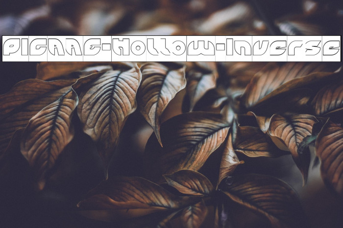 PICAAE-Hollow-Inverse Example 3