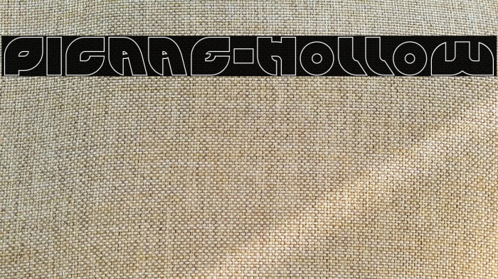 PICAAE-Hollow Example 1