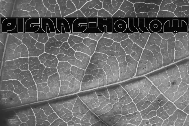 PICAAE-Hollow Font examples