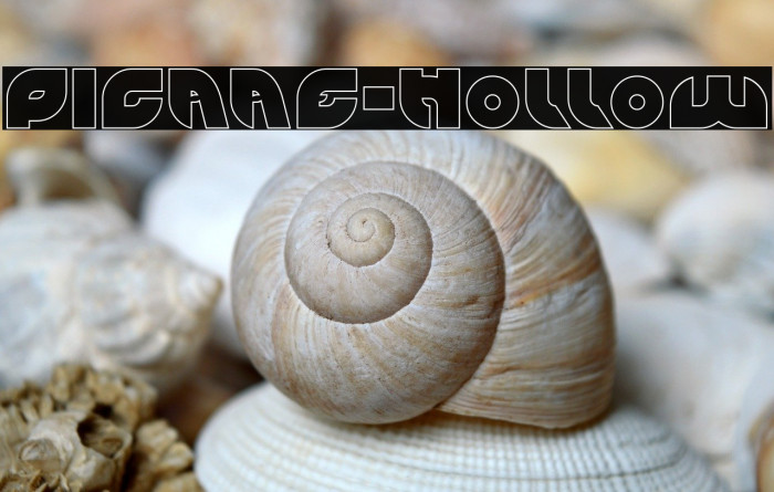 PICAAE-Hollow Example 3