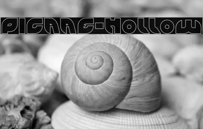 PICAAE-Hollow Font examples