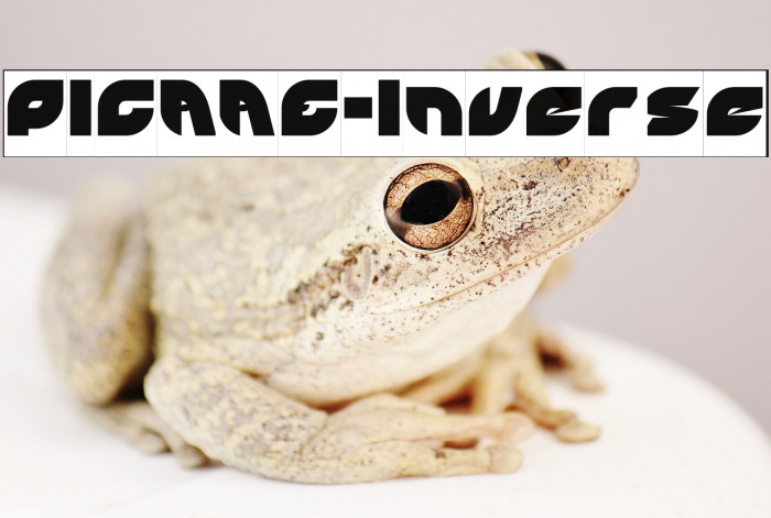 PICAAE-Inverse Example 1