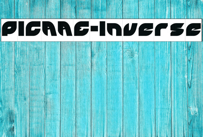 PICAAE-Inverse Example 2