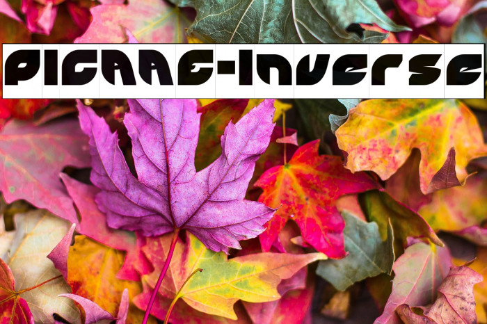 PICAAE-Inverse Example 3