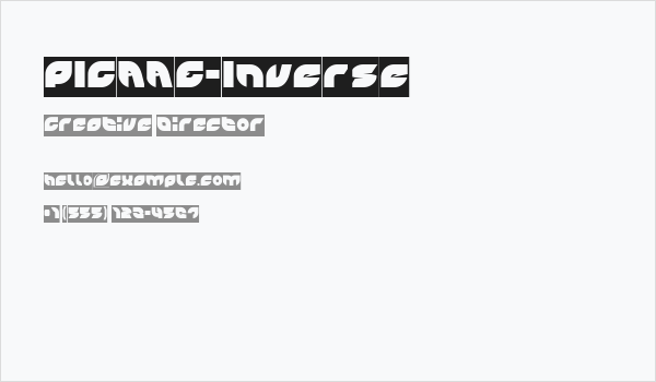 PICAAE-Inverse Business Card