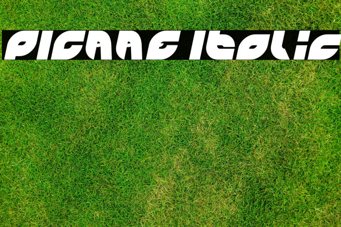 PICAAE Italic Example 1