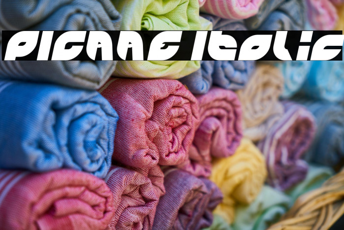 PICAAE Italic Example 2