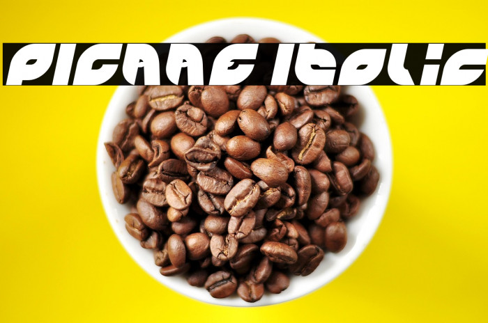 PICAAE Italic Example 3