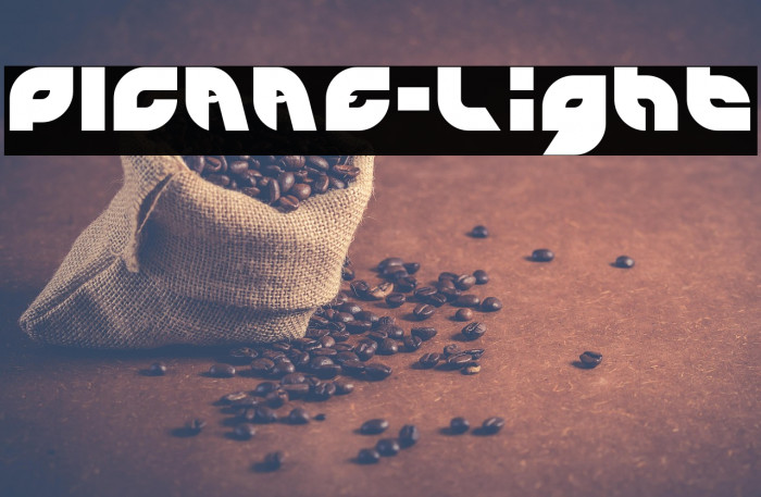 PICAAE-Light Example 1