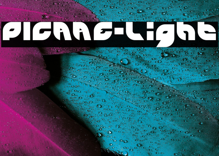 PICAAE-Light Example 3