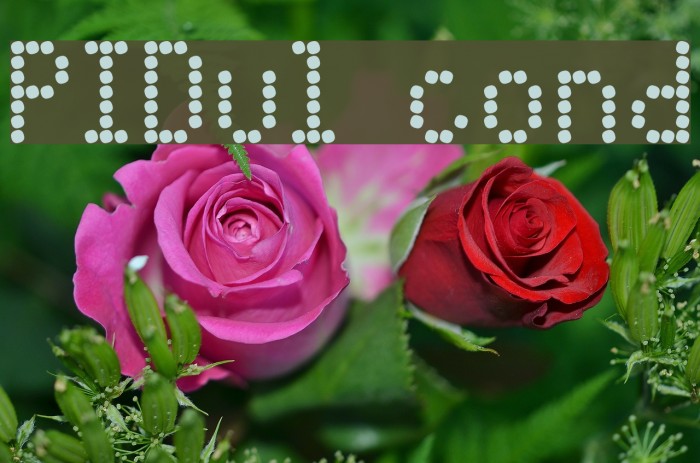 PIDvl cond Example 2