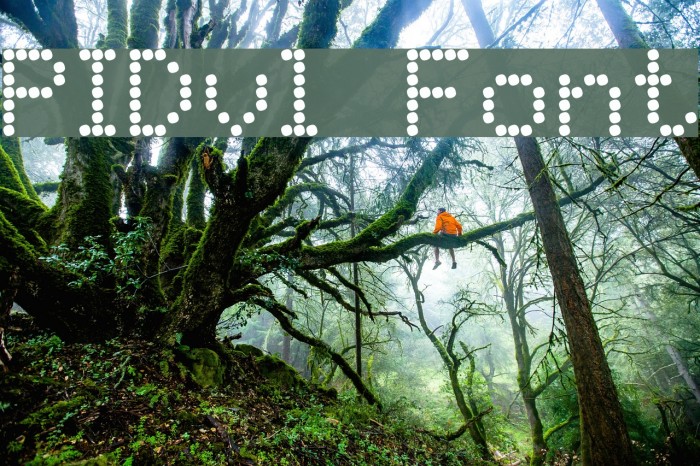 PIDvl Font examples