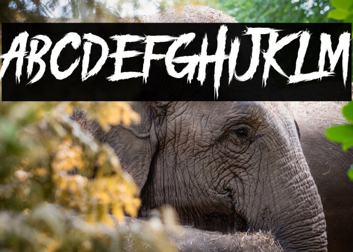 PILITACORE! DEMO Example 1