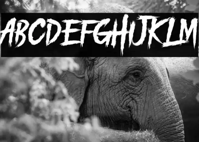 PILITACORE! DEMO Font examples