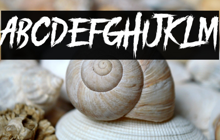 PILITACORE! DEMO Example 3