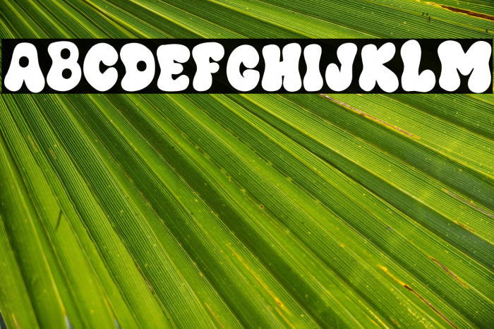 PIMP MY RIDE DEMO Example 1