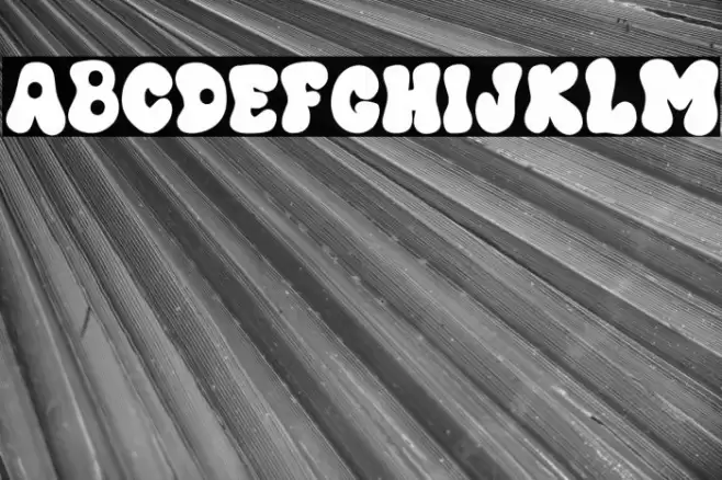 PIMP MY RIDE DEMO Font examples