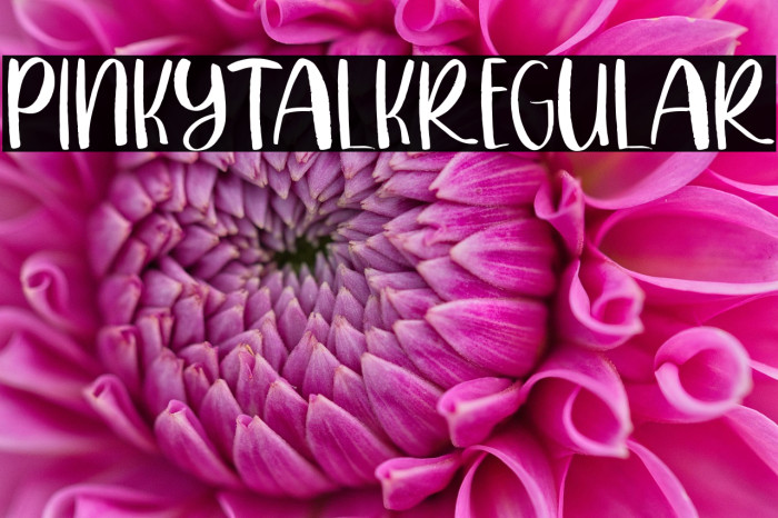 PINKYTALKRegular Example 2