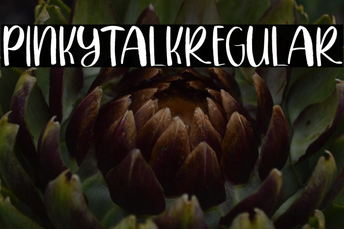 PINKYTALKRegular Example 3