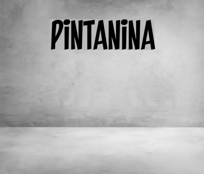 PINTANINA Font examples